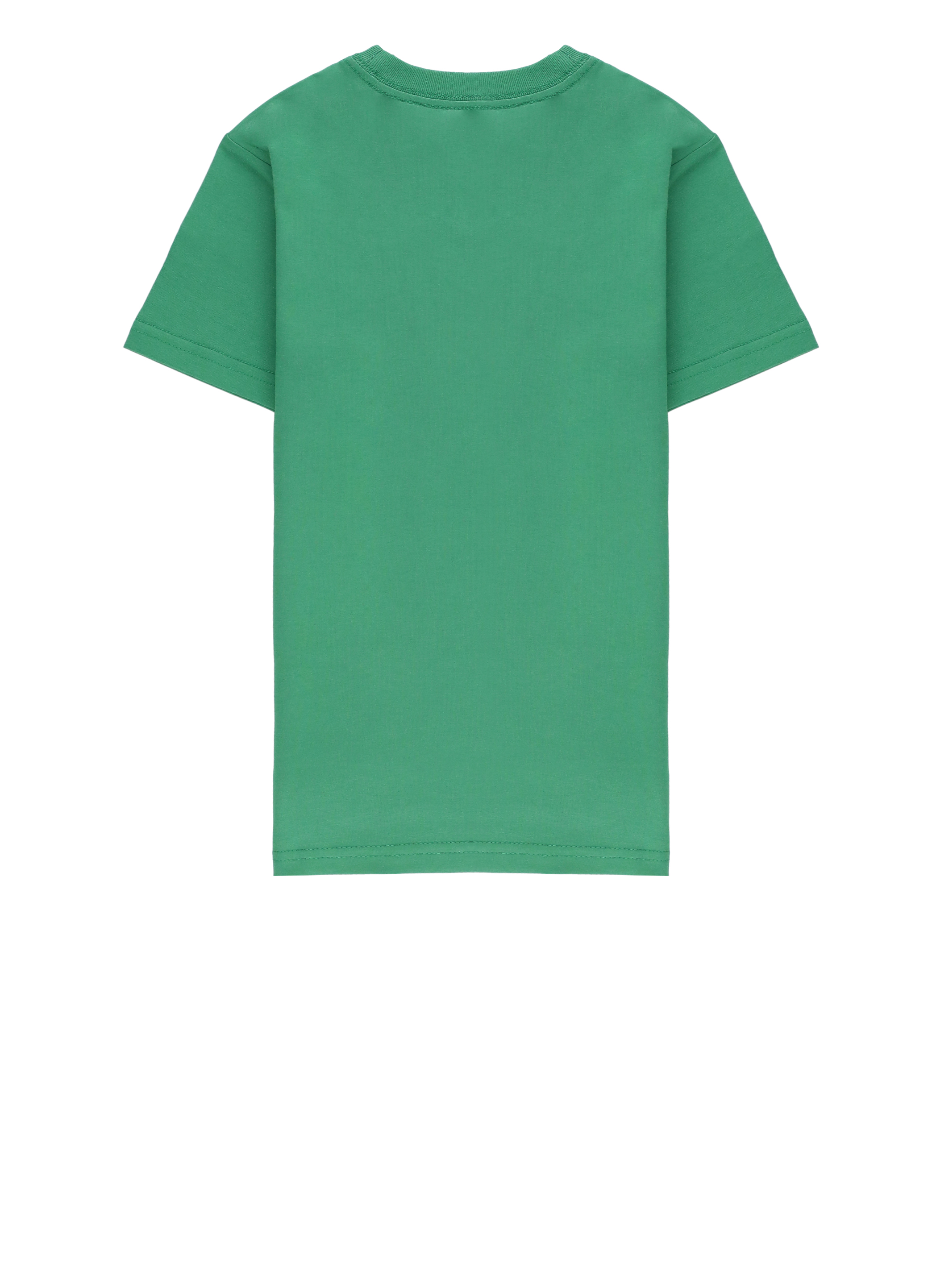 Ralph Lauren T-shirts and Polos Green 832904500 (RALPH LAUREN / Tシャツ・カットソー ) | RALPH LAUREN (ラルフ ローレン)(1)