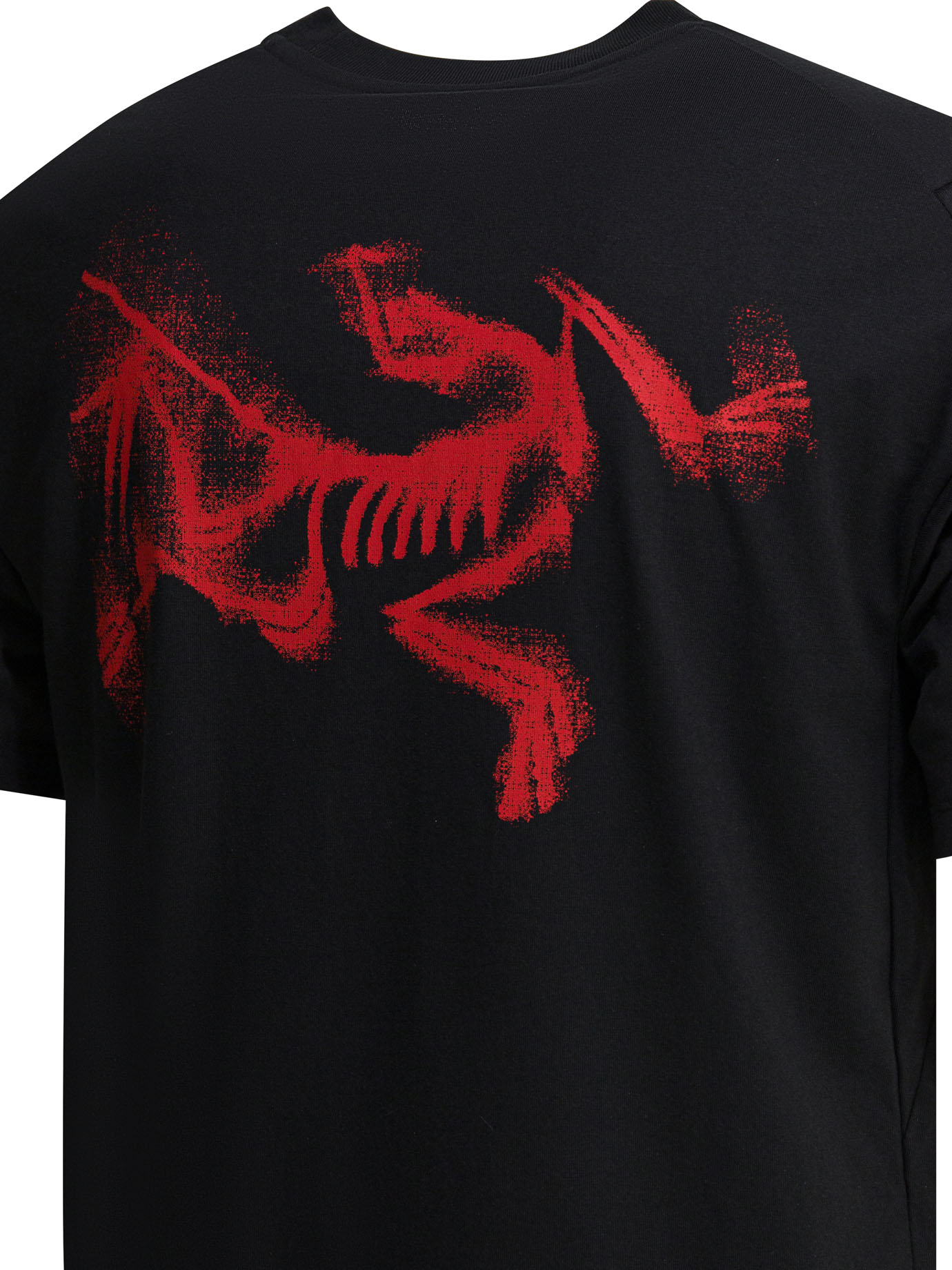 "Kragg SL" crewneck T-shirt X000009538KRAGG (ARC'TERYX / Tシャツ・カットソー ) | ARC'TERYX (アークテリクス)(3)