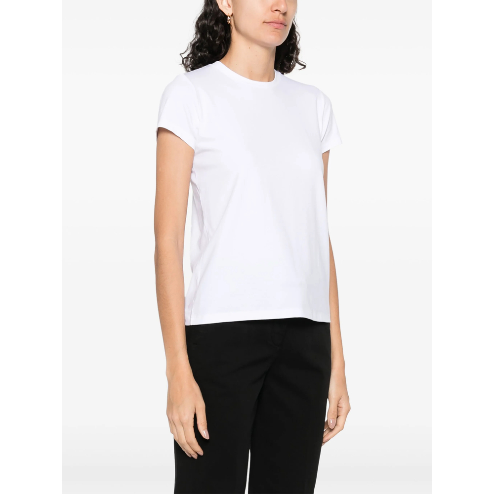 T-shirt Mazzarelli CALIPSOPUGLIA2201 (MAZZARELLI / Tシャツ・カットソー ) | MAZZARELLI (マッザレッリ)(3)