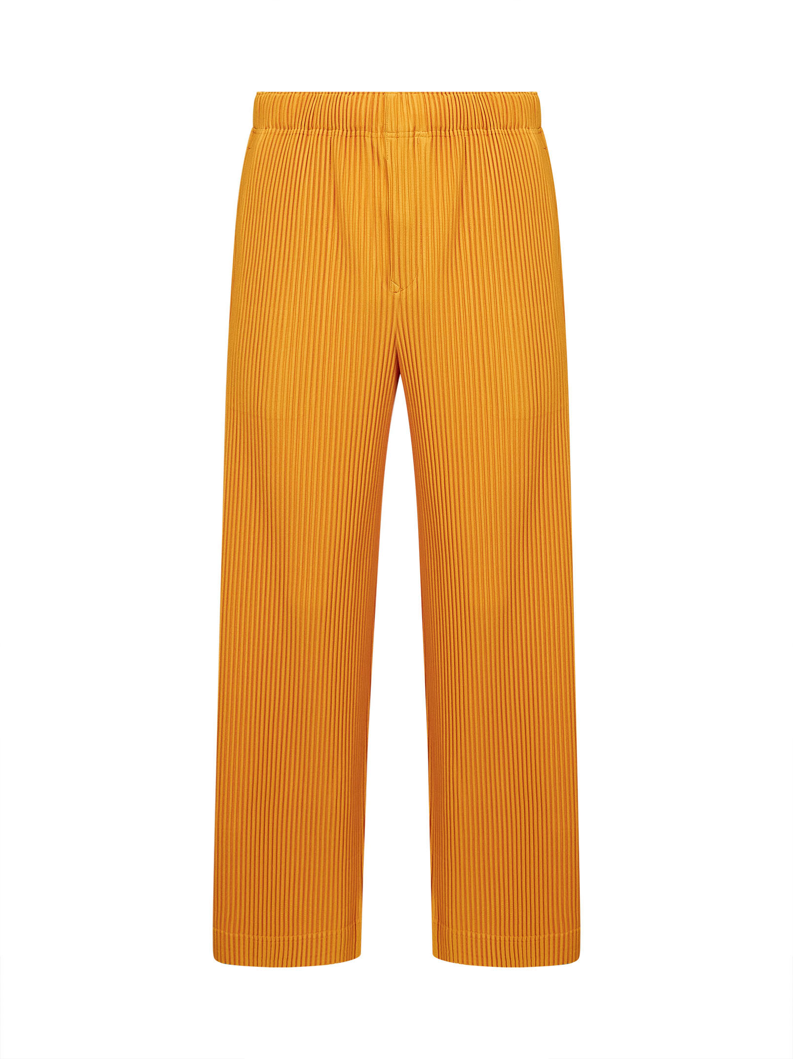 HOMME PLISSE ISSEY MIYAKE RTW... JF10433 (HOMME PLISSÉ ISSEY MIYAKE / パンツ ) | HOMME PLISSÉ ISSEY MIYAKE (オムプリッセ イッセイ ミヤケ)