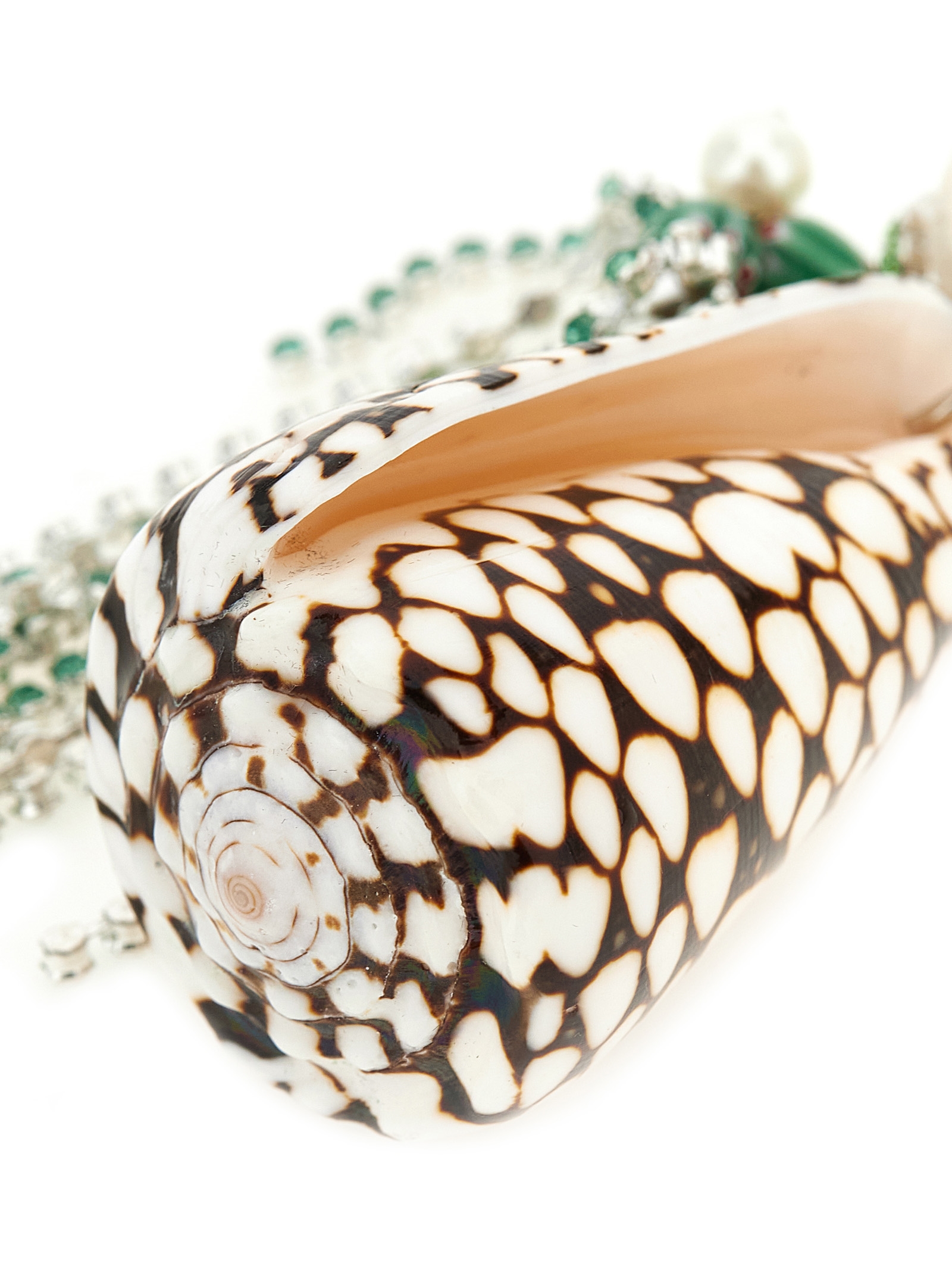 Shell necklace 2610182670051604 (Dries Van Noten / ネックレス ) | Dries Van Noten (ドリスヴァンノッテン)(1)