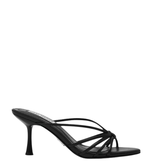 Steve Madden Sandals Black SMSEDNA17BLK (STEVE MADDEN / サンダル ) | STEVE MADDEN (スティーブ マデン)