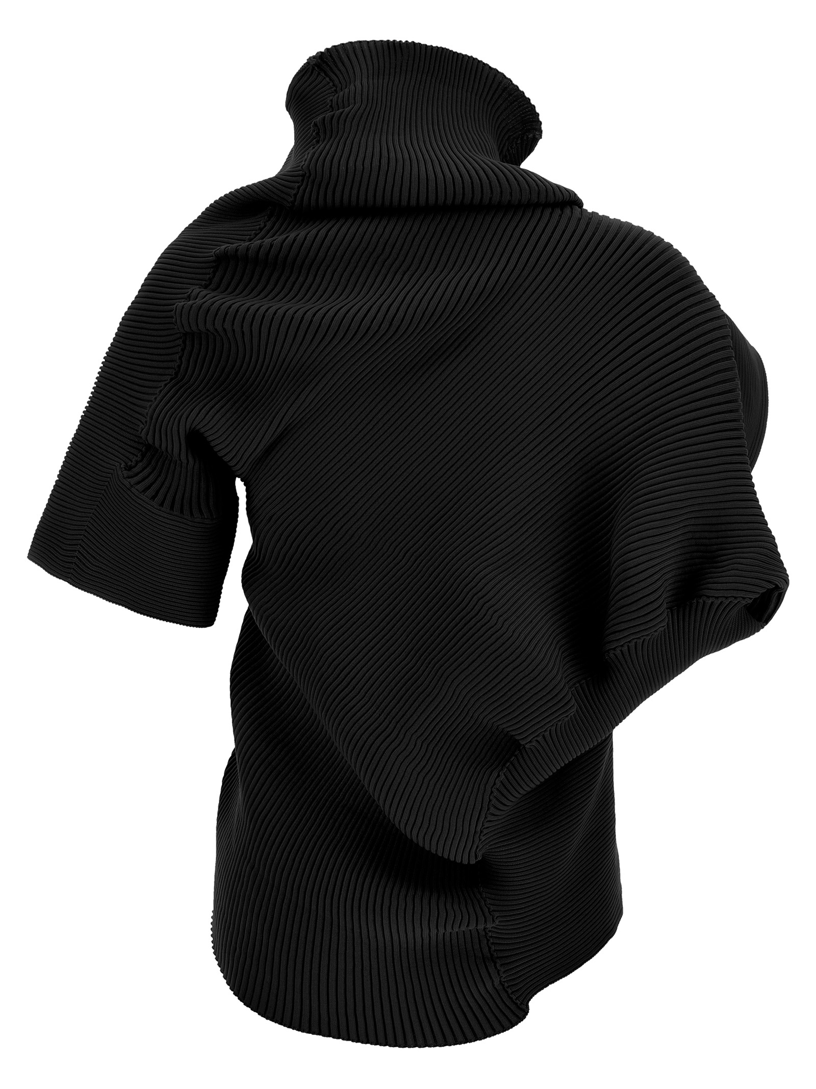 'Life form' top IM66KN75415 (ISSEY MIYAKE / シャツ・ブラウス ) | ISSEY MIYAKE (イッセイ ミヤケ)(1)