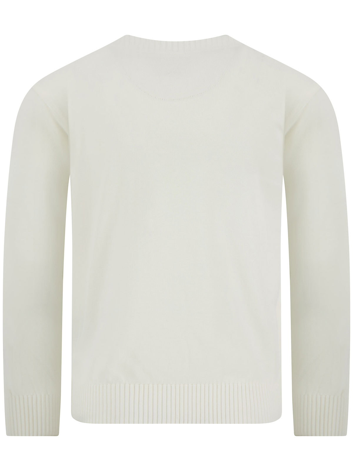 Cotton crew neck 26411533108 (PAUL & SHARK / スウェット・フーディー ) | PAUL & SHARK (ポールアンドシャーク)(2)