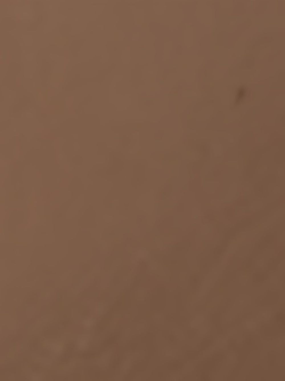 Stella McCartney Bags.. Grey 7B0178WP06322802 (Stella McCartney / ハンドバッグ・ショルダーバッグ ) | Stella McCartney (ステラ マッカートニー)(5)