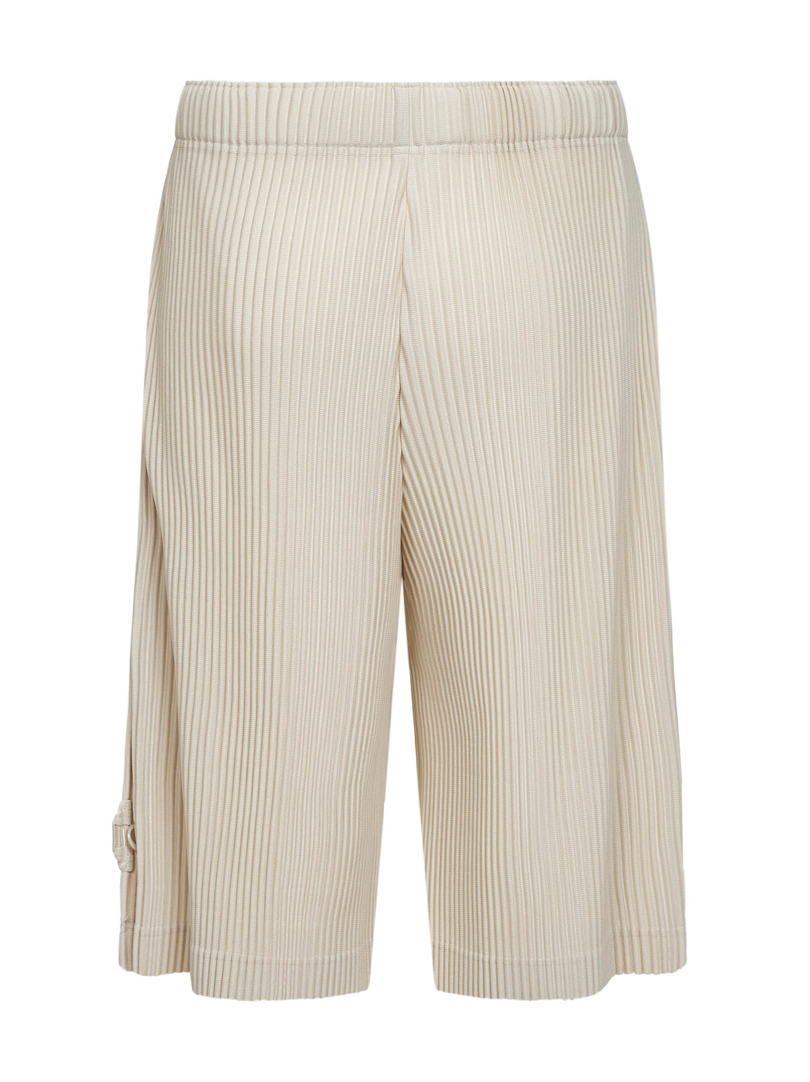 HOMME PLISSE ISSEY MIYAKE JF21242 (HOMME PLISSÉ ISSEY MIYAKE / ショートパンツ ) | HOMME PLISSÉ ISSEY MIYAKE (オムプリッセ イッセイ ミヤケ)(1)