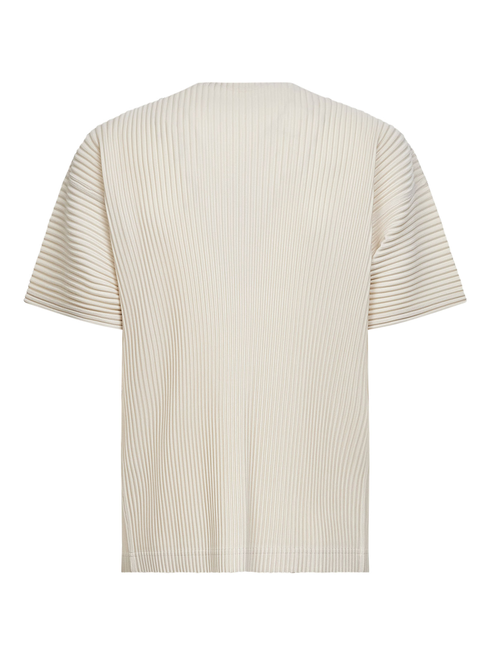 HOMME PLISSE ISSEY MIYAKE JK03342 (HOMME PLISSÉ ISSEY MIYAKE / Tシャツ・カットソー ) | HOMME PLISSÉ ISSEY MIYAKE (オムプリッセ イッセイ ミヤケ)(1)