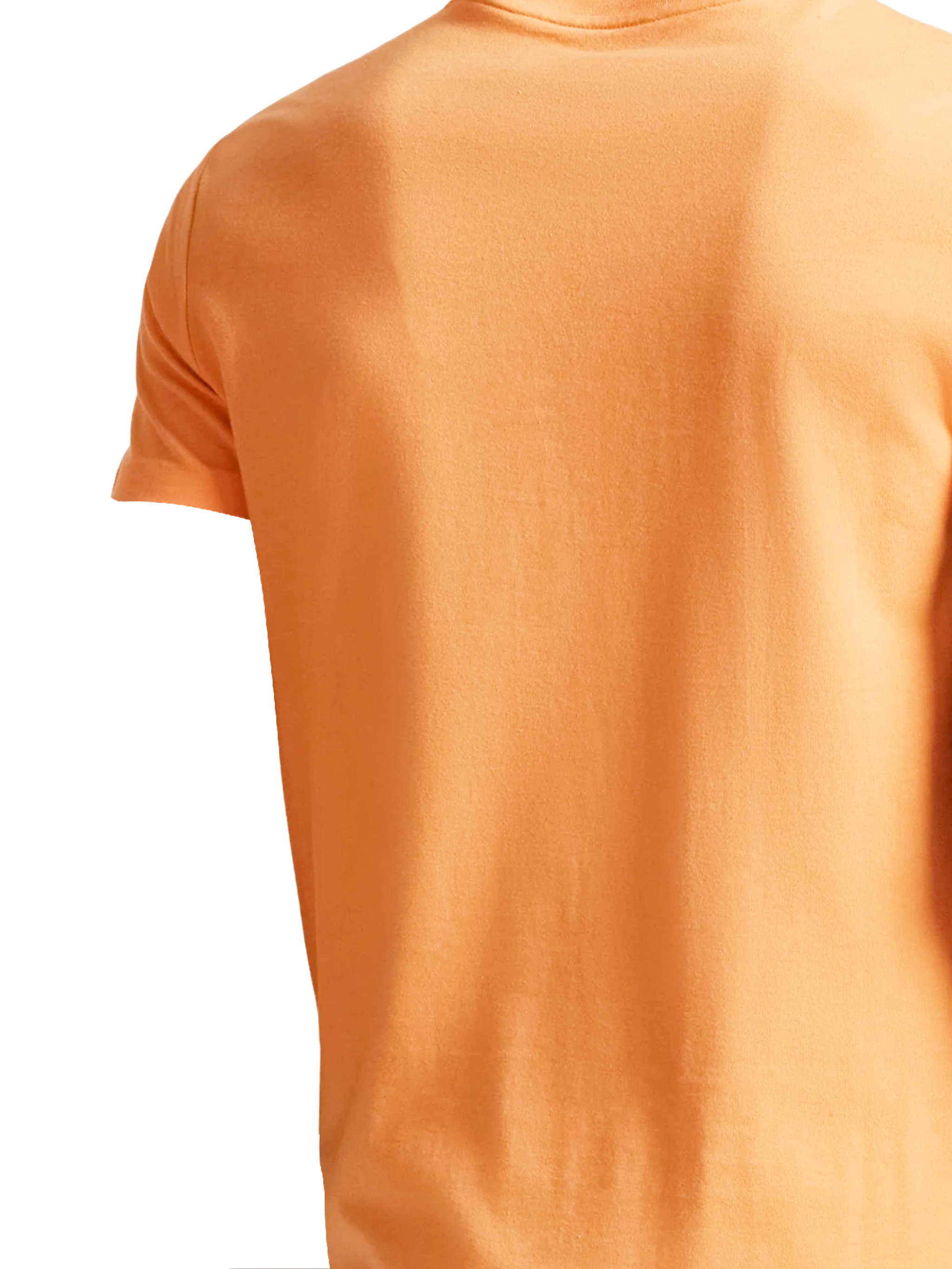 Polo Ralph Lauren T-shirts and Polos 710671438457 (Polo Ralph Lauren / Tシャツ・カットソー ) | Polo Ralph Lauren (ポロ ラルフ ローレン)(2)
