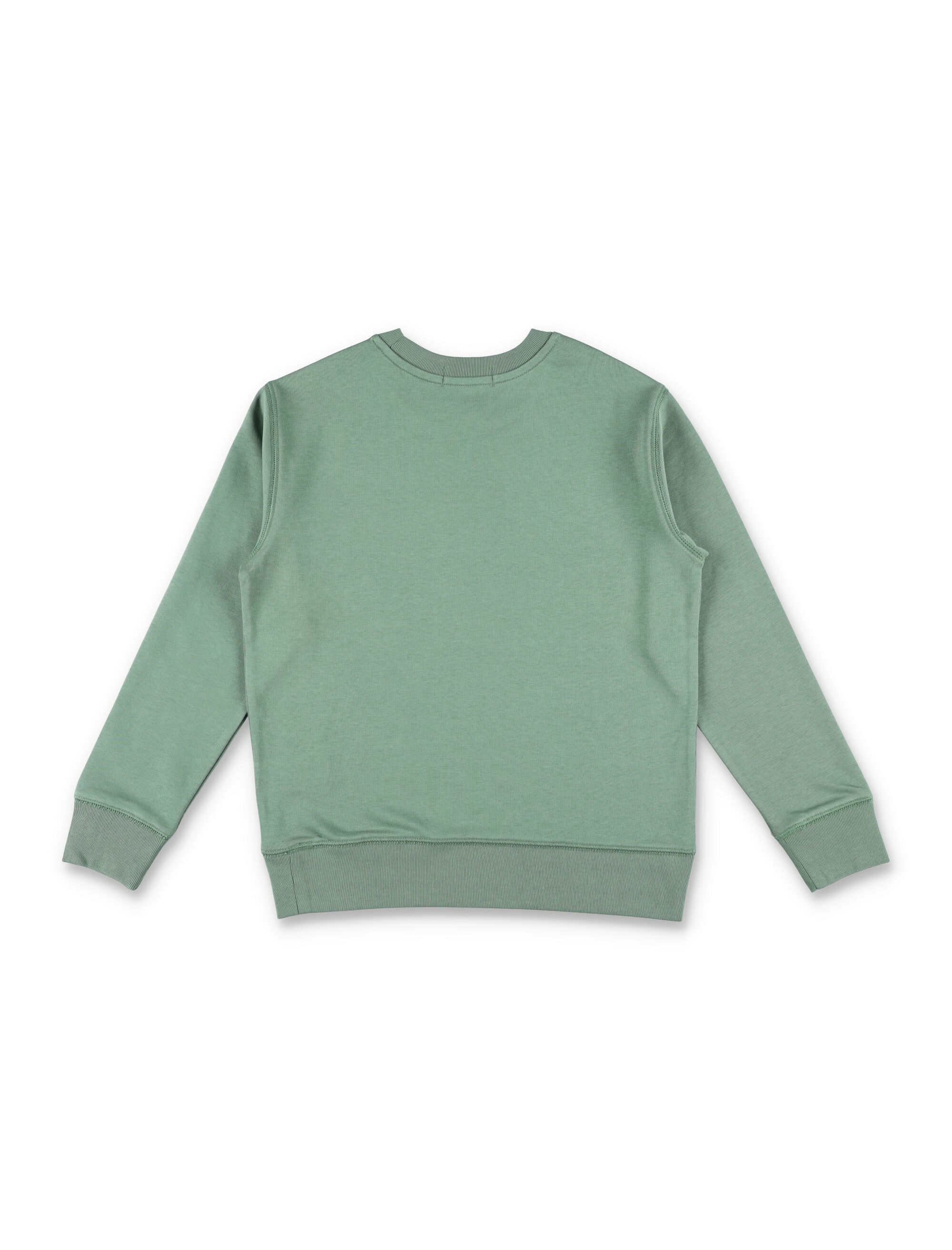 Polo Ralph Lauren Clothing.... Green 971277501 (Polo Ralph Lauren / スウェット・フーディー ) | Polo Ralph Lauren (ポロ ラルフ ローレン)(2)