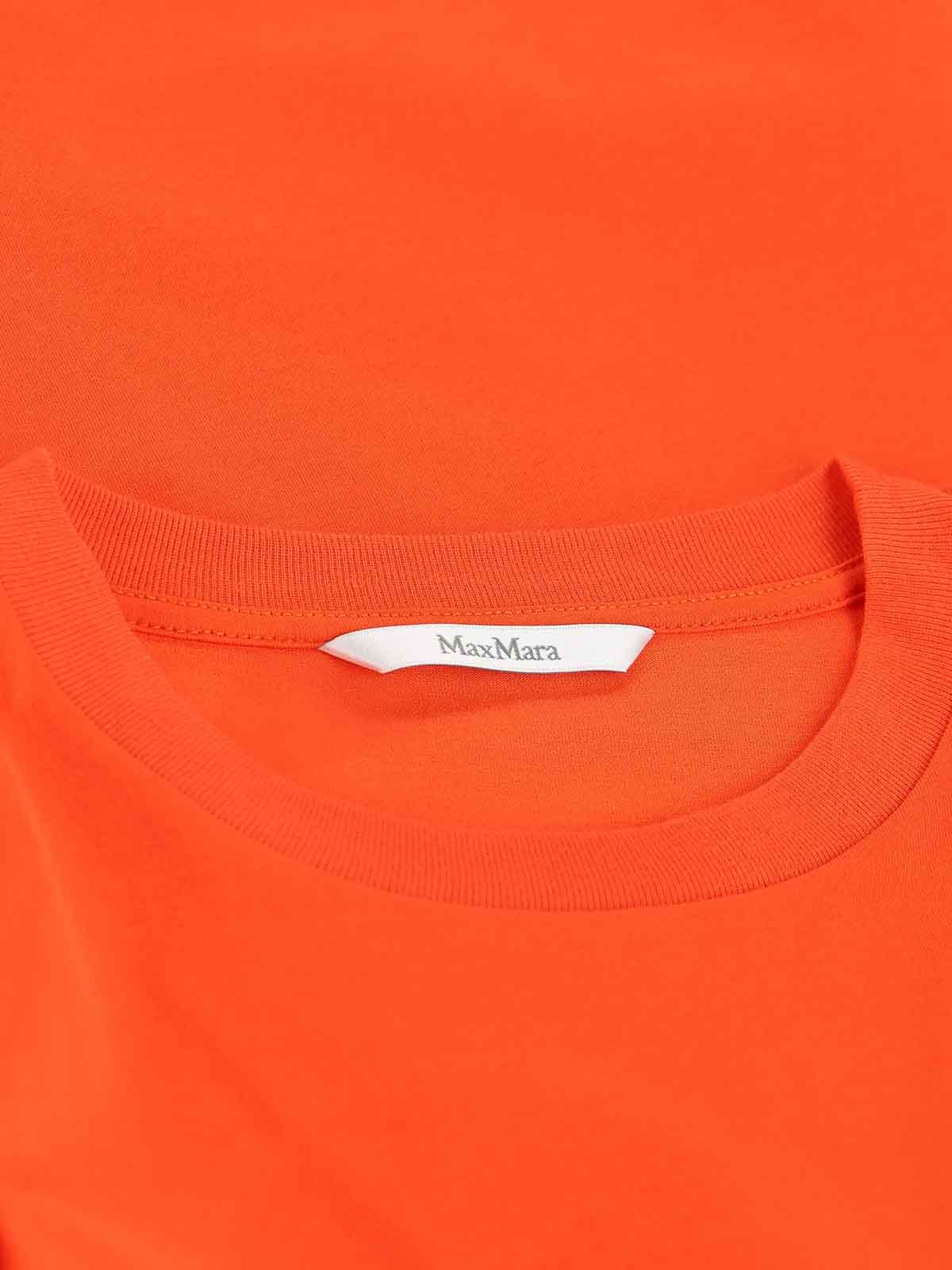 T-shirt 261194E20 (Max Mara / Tシャツ・カットソー ) | Max Mara (マックスマーラ)(2)