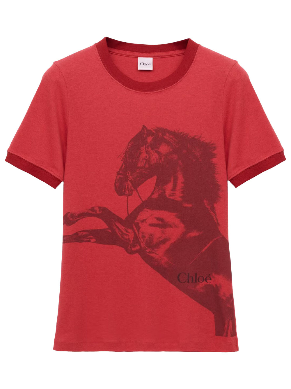 BABY FIT LOGO T-SHIRT IN CHINÉ JERSEY CH26SJH03199678 (Chloé / Tシャツ・カットソー ) | Chloé (クロエ)