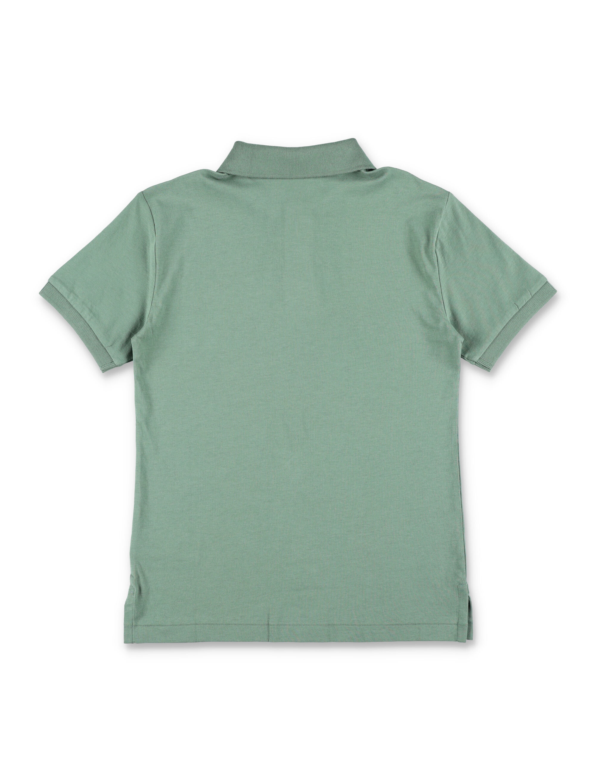 Polo Ralph Lauren T-shirts and Polos Green 970332502 (Polo Ralph Lauren / ポロシャツ ) | Polo Ralph Lauren (ポロ ラルフ ローレン)(2)