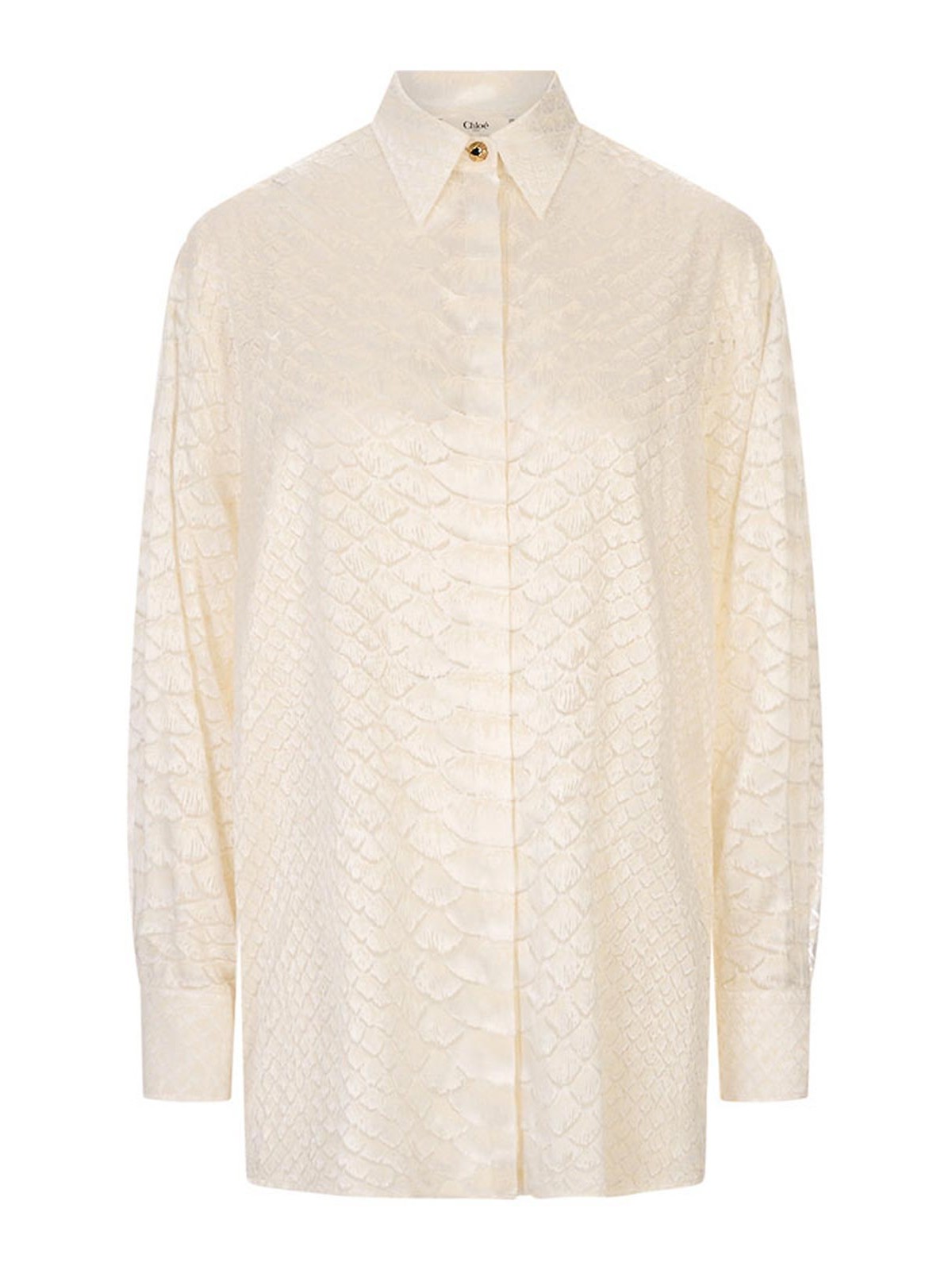 Shirt WWT700HES3600052 (roberto cavalli / シャツ・ブラウス ) | roberto cavalli (ロベルト カヴァリ)