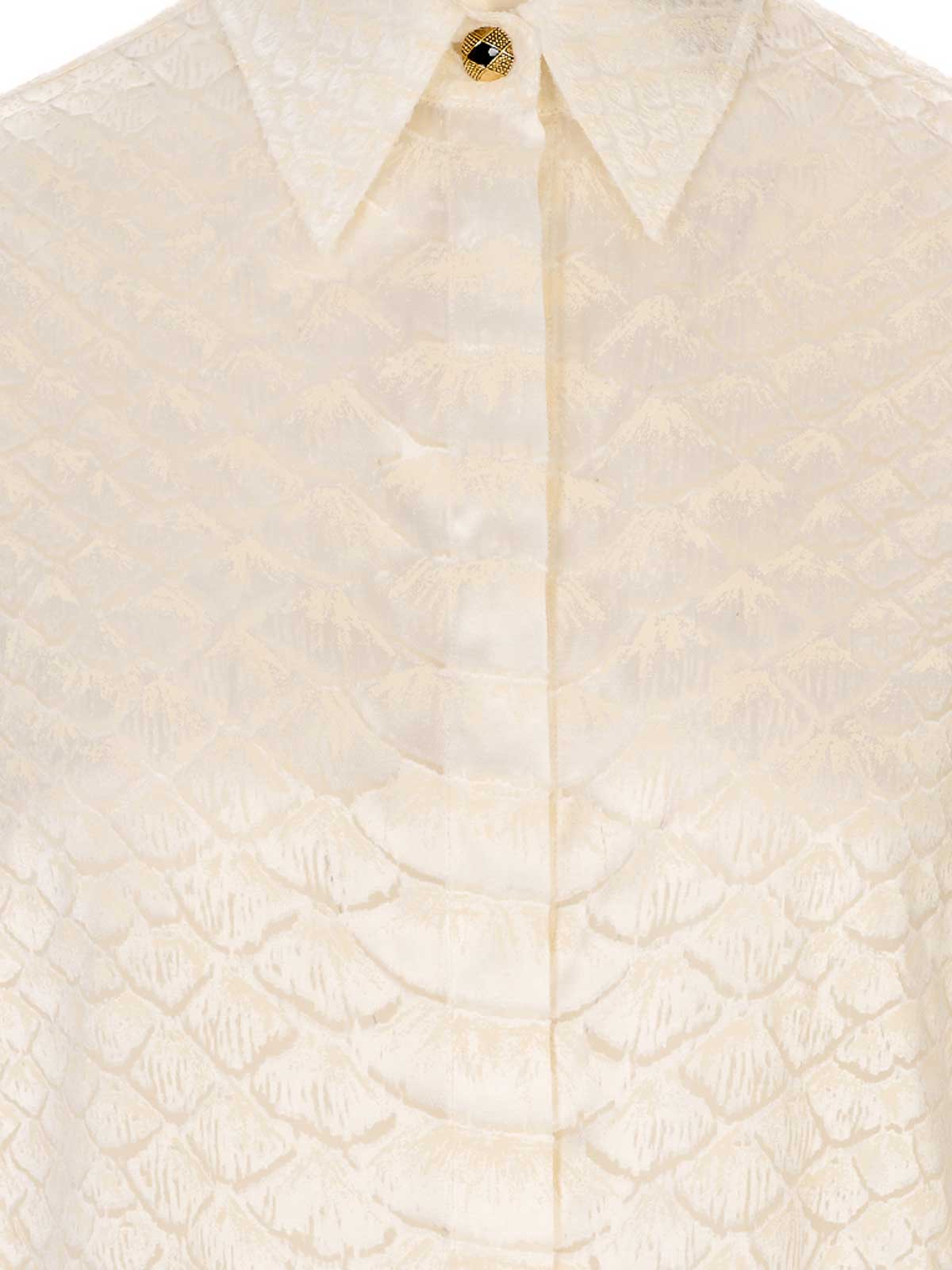 Shirt WWT700HES3600052 (roberto cavalli / シャツ・ブラウス ) | roberto cavalli (ロベルト カヴァリ)(2)