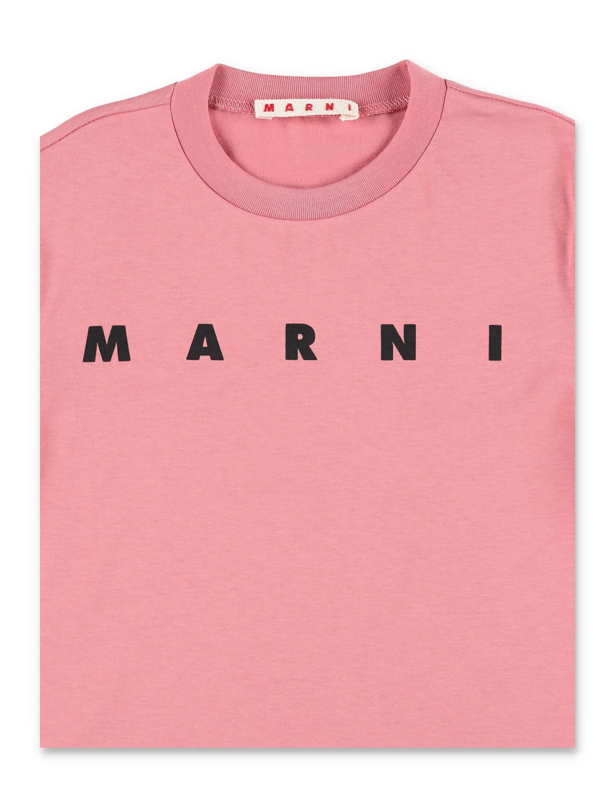 Marni T-shirts and Polos M01601M00RF0M350 (Marni / Tシャツ・カットソー ) | Marni (マルニ)(2)