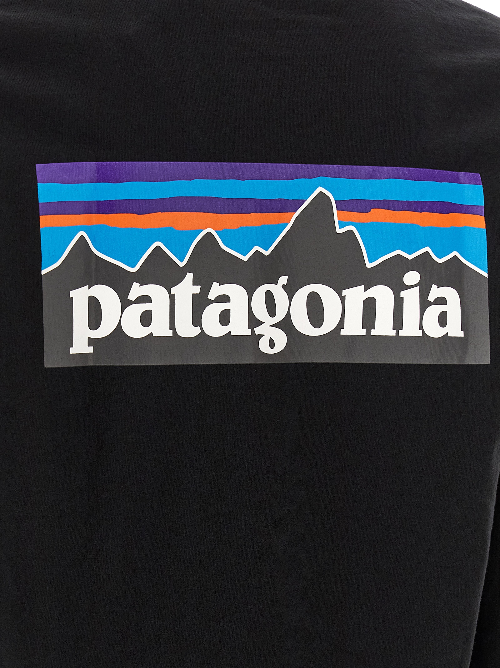 'Responsibili' T-shirt 38518BLK (patagonia / Tシャツ・カットソー ) | patagonia (パタゴニア)(3)