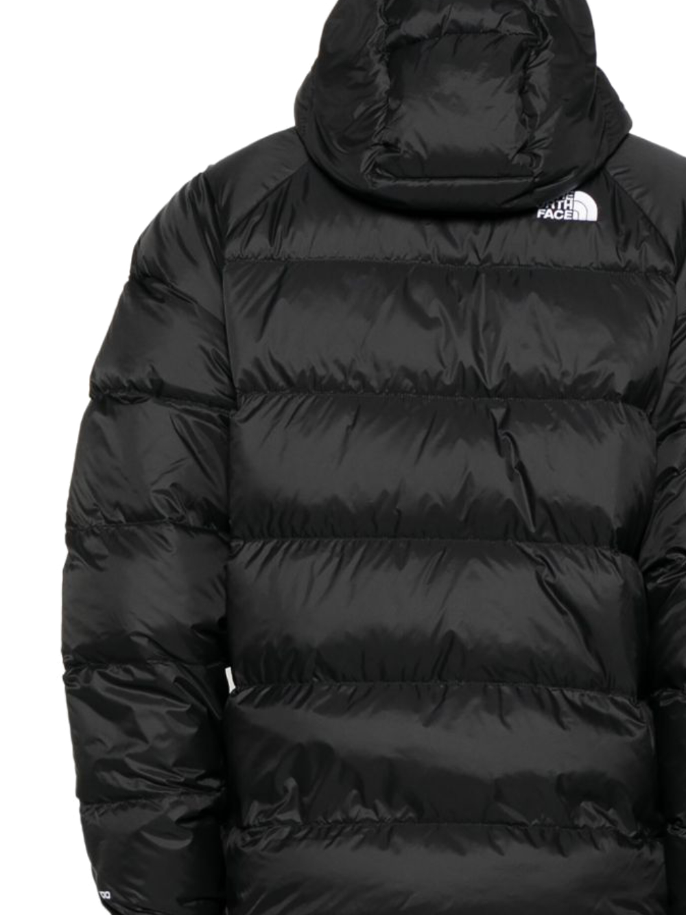 THE NORTH FACE Jackets Black NF0A5GIEJK31 (THE NORTH FACE / ダウンジャケット・コート ) | THE NORTH FACE (ザ・ノース・フェイス)(2)